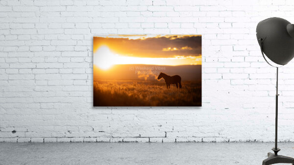 Exhale Wall Preview