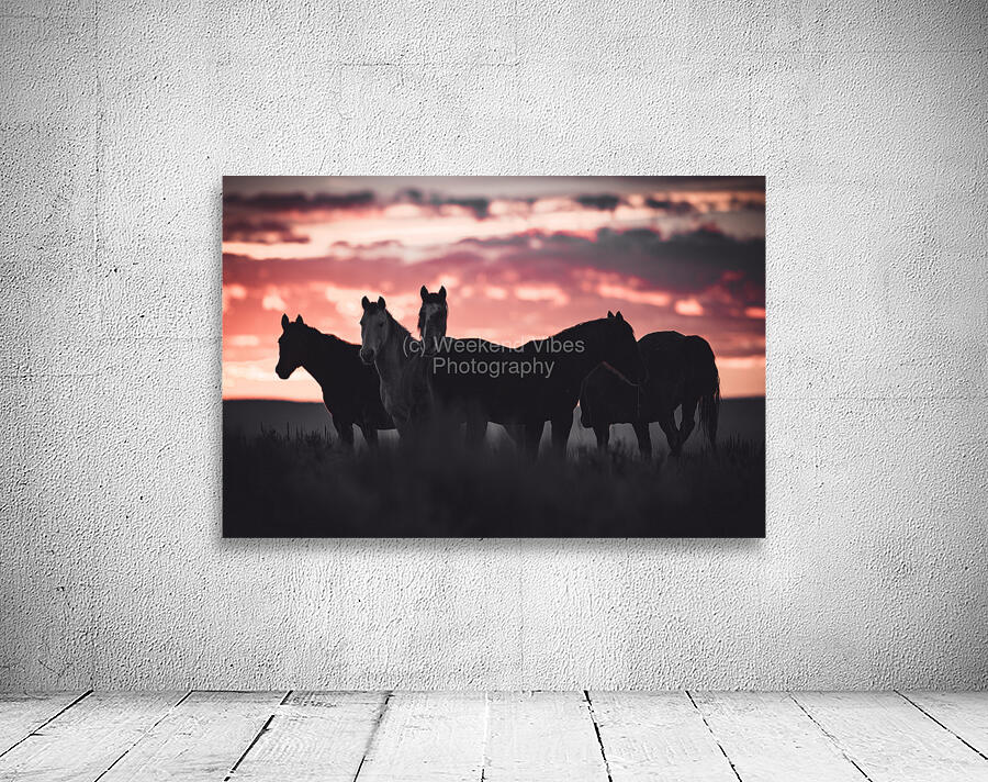 Pink Skies Wall Preview