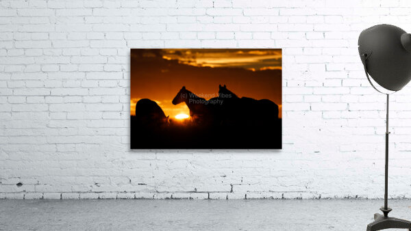 Sunrise Silhouette Wall Preview