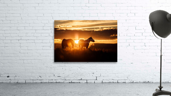 Horizon Wall Preview