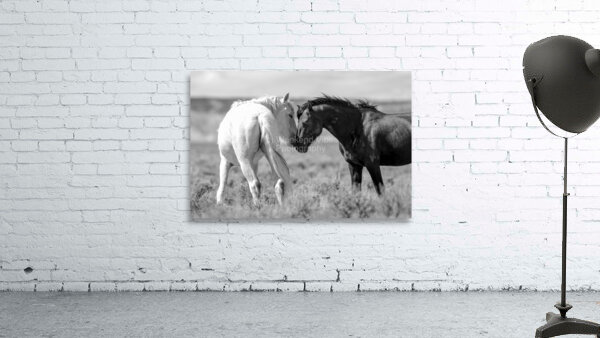 The Meeting Wall Preview
