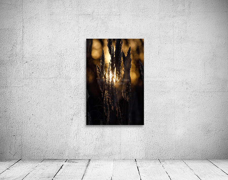 Golden Wheat Wall Preview