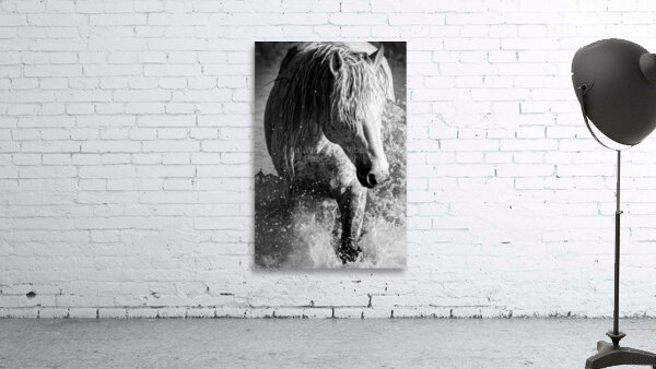 Making Waves Black and White Wall Preview