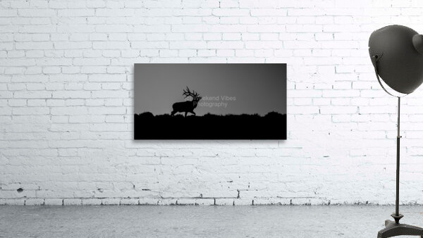 Antlered Horizon Wall Preview