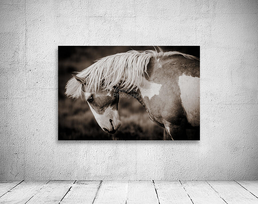 Meteor In Motion Wall Preview