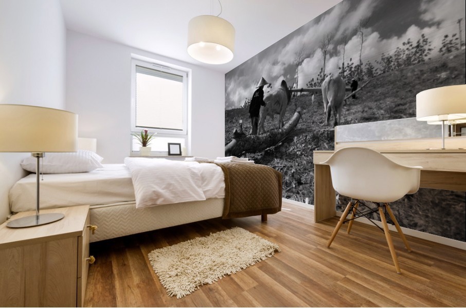 Cow pulling wood Mural print