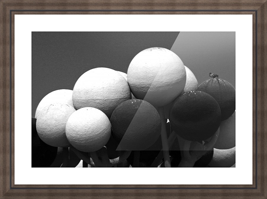 alone bird Picture Frame print