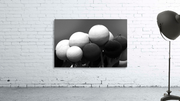 alone bird Wall Preview