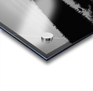 Harrie Lake Labrador Acrylic print