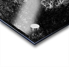 Venelle Acrylic print