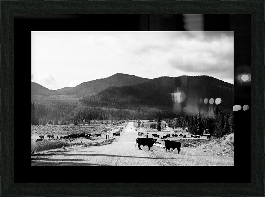 Kananaskis Valley Impression et Cadre photo
