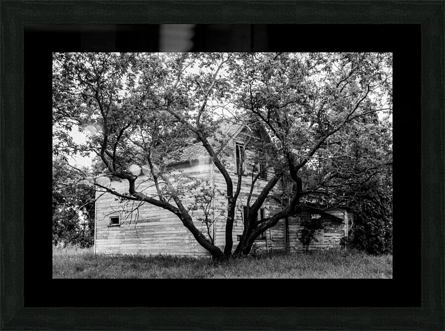 Dans le Manitoba Picture Frame print