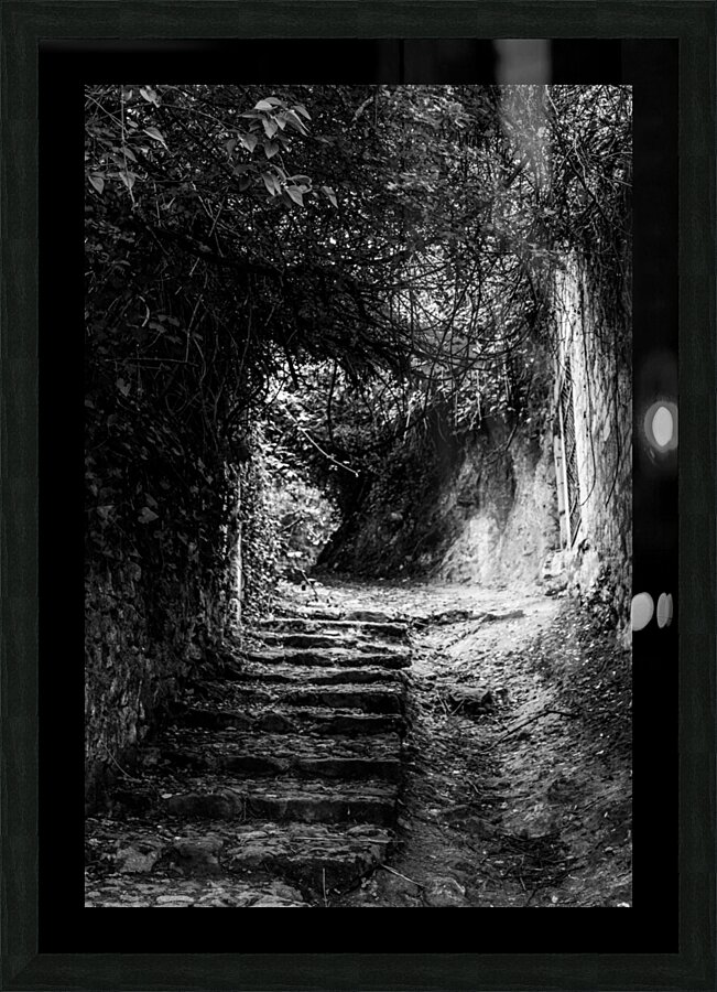 Venelle Picture Frame print