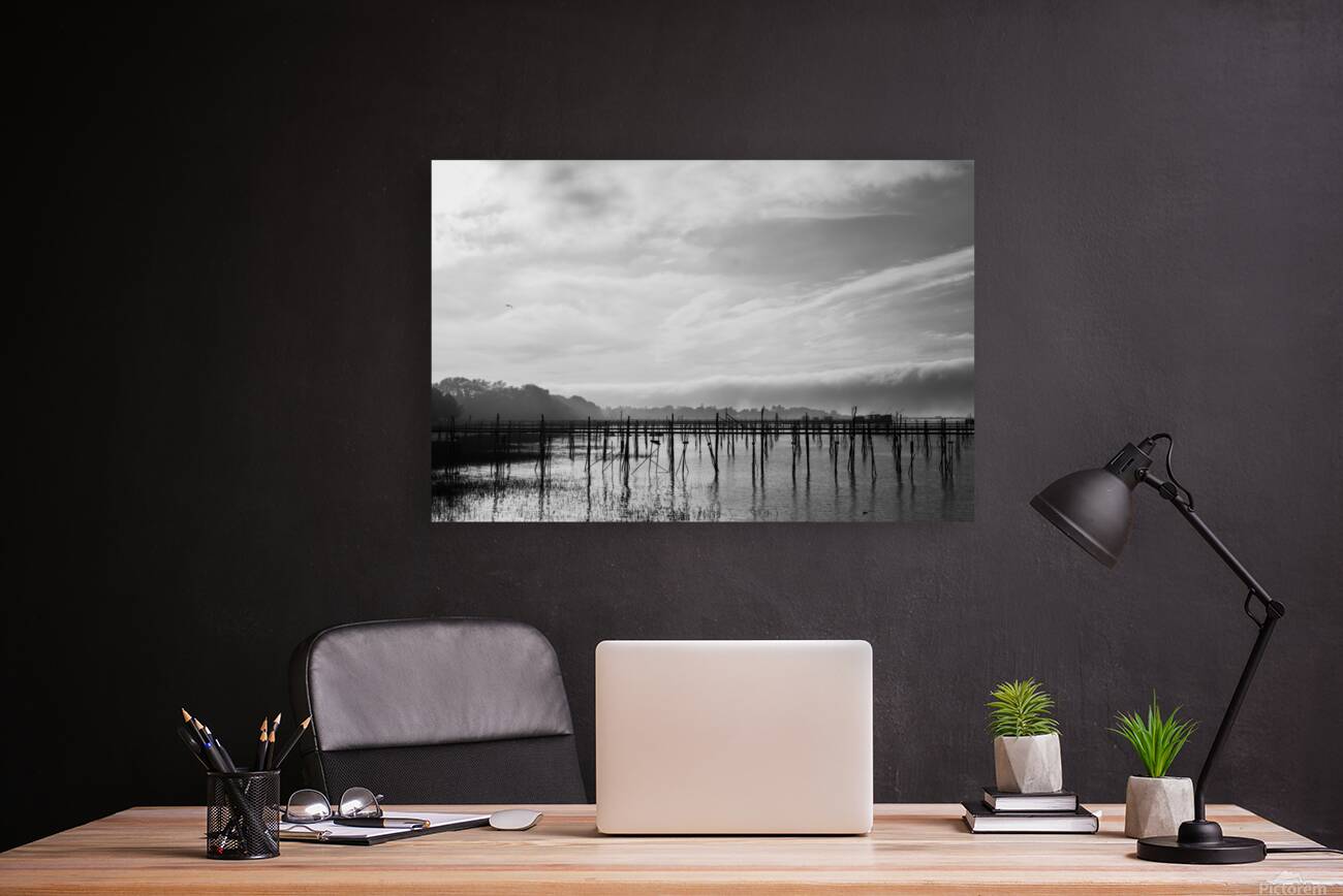 Estuaire de la Loire - Loire Estuary Reproduction