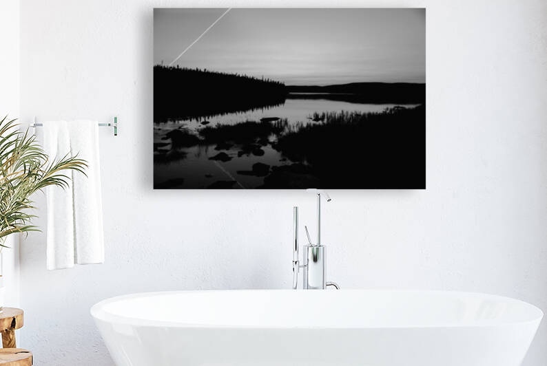 Harrie Lake Labrador by Sara Teinturier   Photographie
