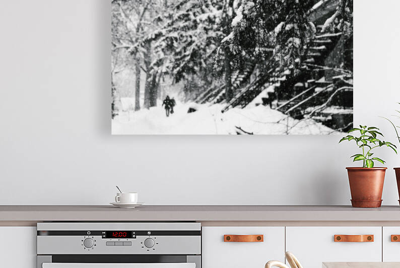 Dans la neige de Montreal Reproduction