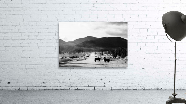 Kananaskis Valley Wall Preview