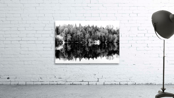 Dans les Laurentides Wall Preview