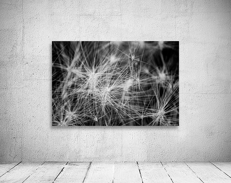 Flore de la Saskatchewan Wall Preview