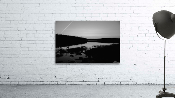 Harrie Lake Labrador Wall Preview