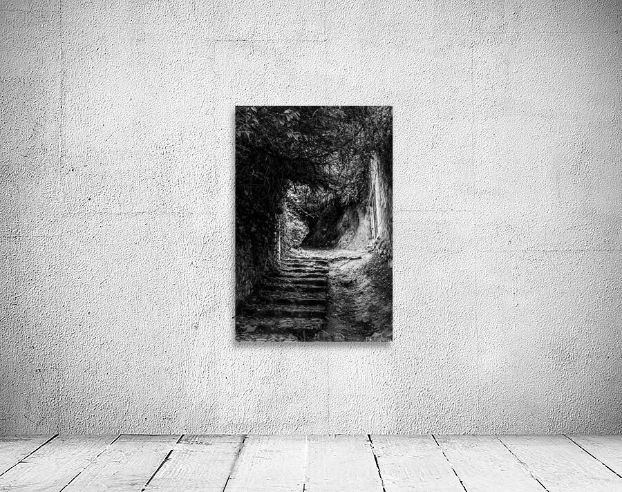 Venelle Wall Preview