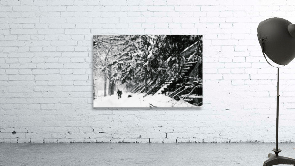 Dans la neige de Montreal Wall Preview