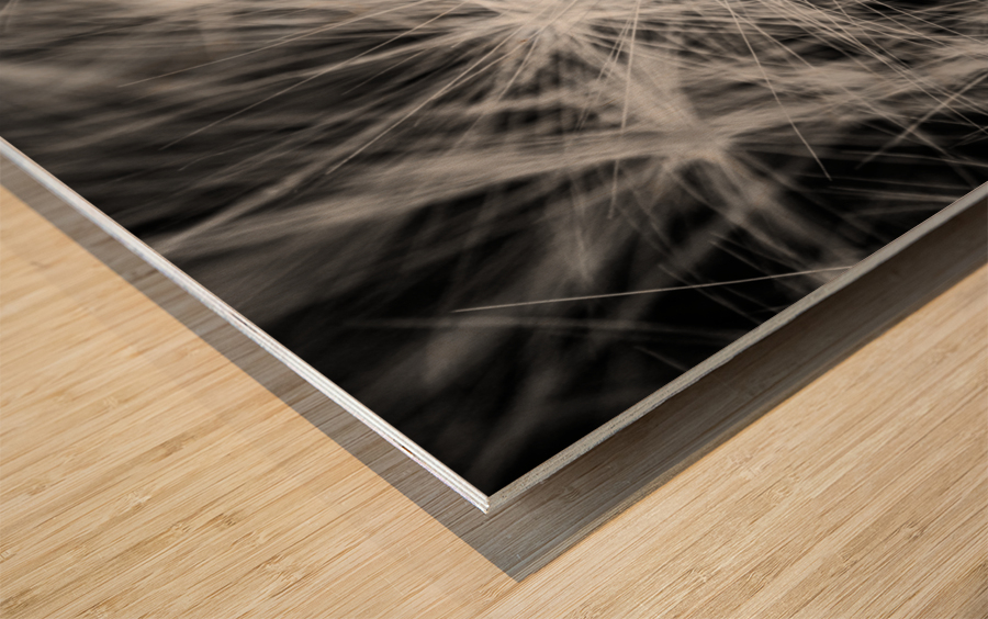 Flore de la Saskatchewan Wood print