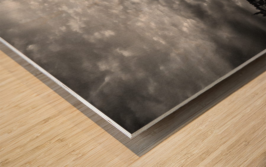 Coucher de soleil sur le Vieux-Port de Marseille Wood print