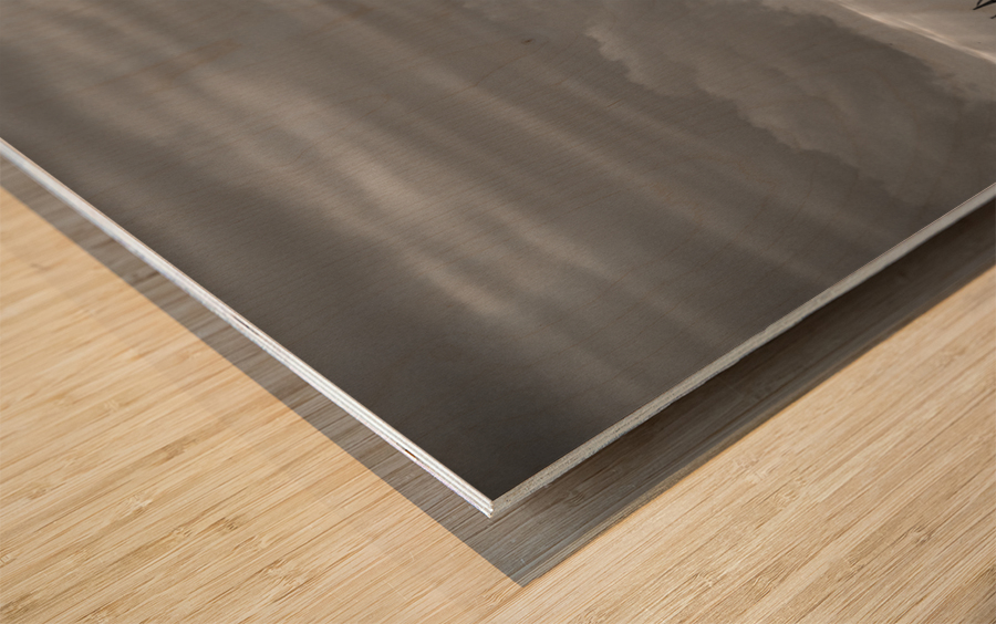 Sur la mer Mediterranee Wood print