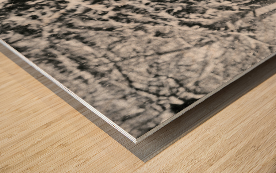 Dans la neige de Montreal Wood print