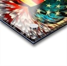USA Heart Acrylic print