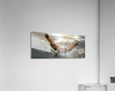 Eagle in the sky Acrylic Print