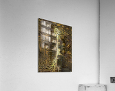 Digital Soul Acrylic Print
