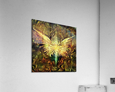 Shining Wings Acrylic Print