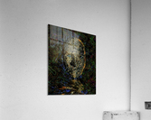 Dark Face Acrylic Print