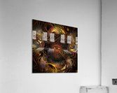 Psychedelic Vision Acrylic Print