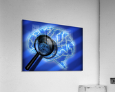 Human Brain Acrylic Print