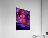 Rose Acrylic Print