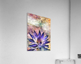 Lotus Acrylic Print