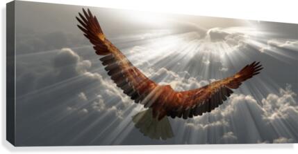 Eagle in the sky by Bruce Rolff Wall Art