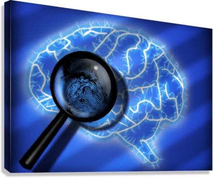 Human Brain Canvas Print
