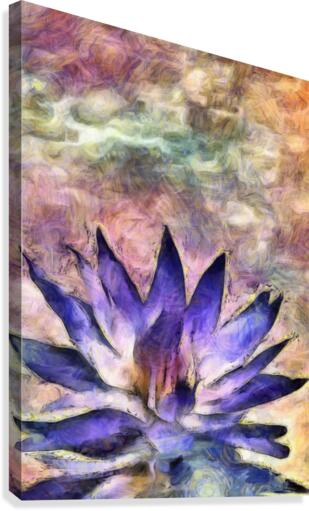 Lotus Canvas Print