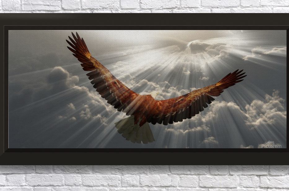 Eagle in the sky by Bruce Rolff Wall Art