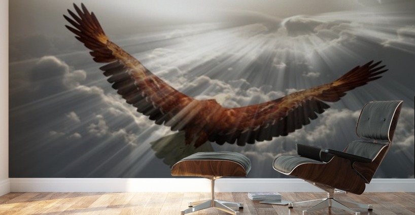 Eagle in the sky by Bruce Rolff Wall Art
