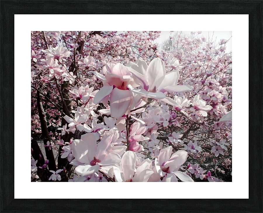 Tender flowers Picture Frame print