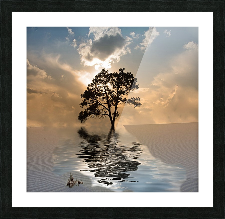 Desert Tree Picture Frame print