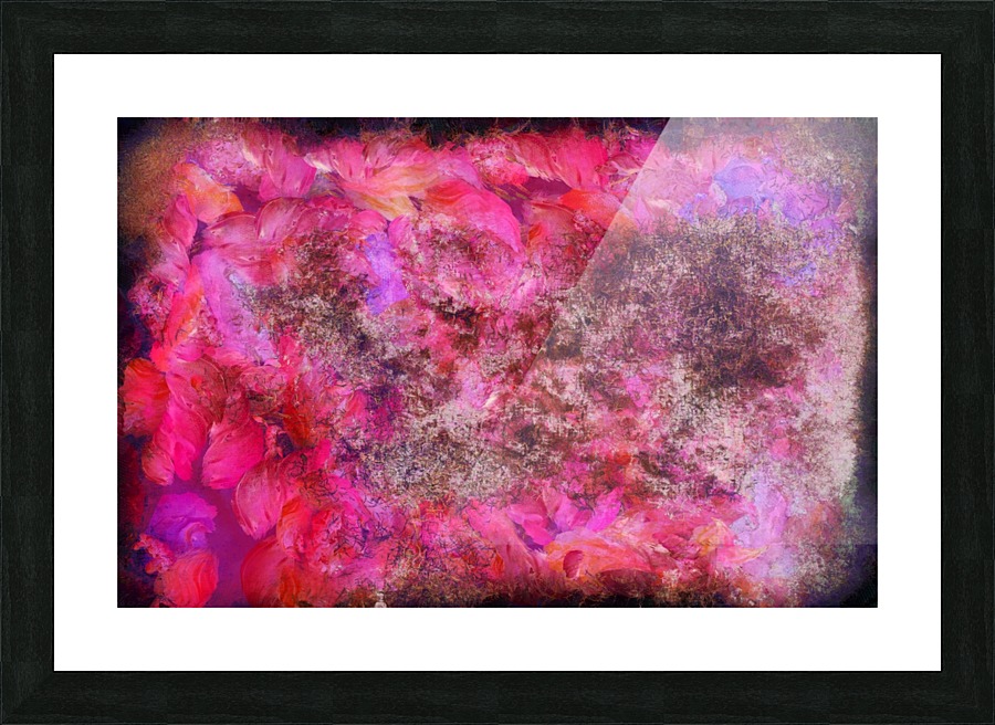 Pink Canvas Picture Frame print