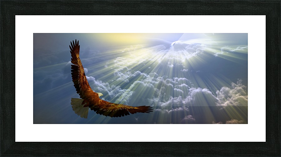 Eagle in the cloudy sky Picture Frame print