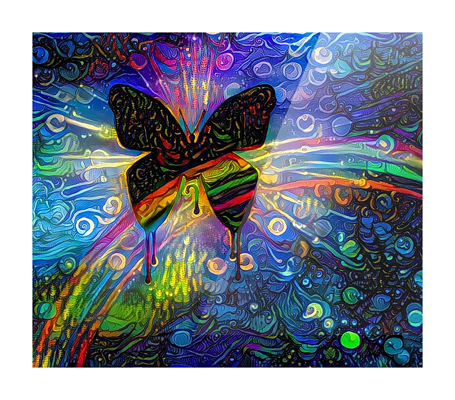 Rainbow Butterfly Picture Frame print