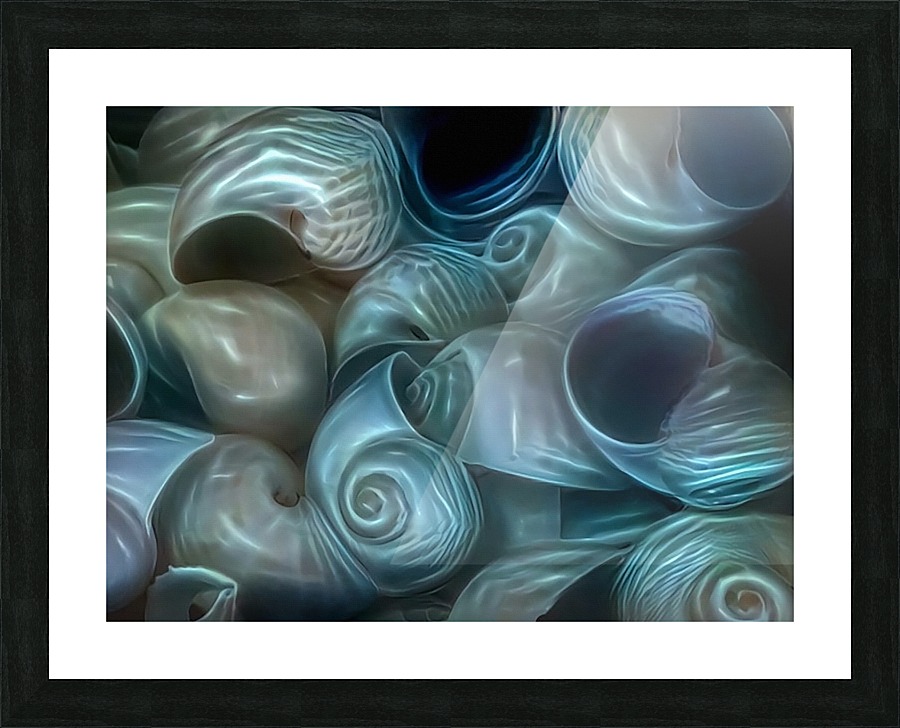 Moon Seashells Picture Frame print